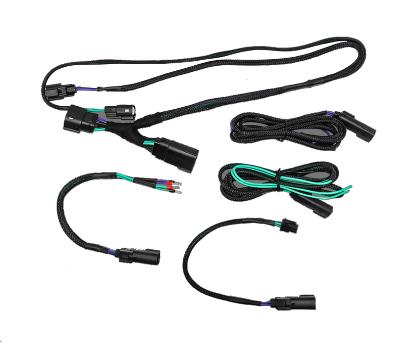 Cicada Audio - 24HDRO - 2024+ Output T Harness to Saddlebags - REAR