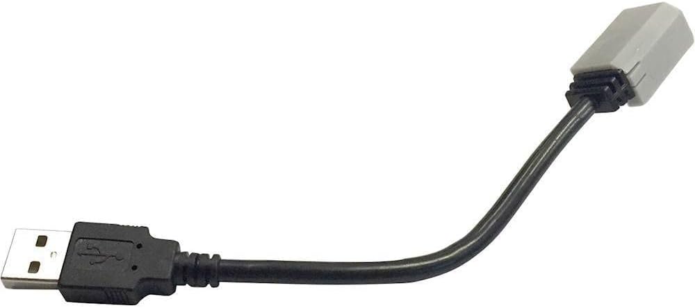 Maestro - ACC-USB1 - USB adapter cable for select Chrysler, GM and Ford vehicles 2006 and up.  Compatible with MSR, MSW, MRR & MRR2