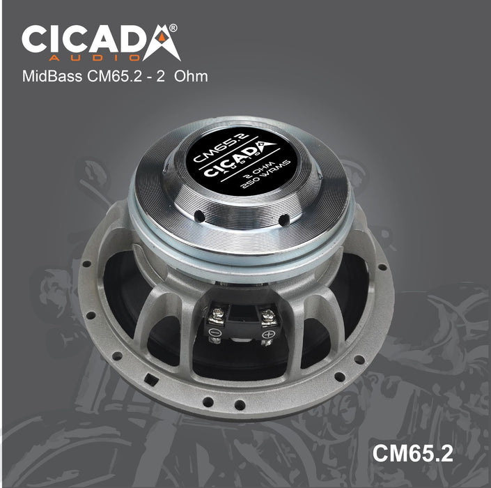 Cicada - CMB8.S4 - 500 WRMS/1000 MAX - EACH Carbon Fiber WaterProof Cone Ferrite Magnet 2.5" 4 Ohm - 6 Layer Coil