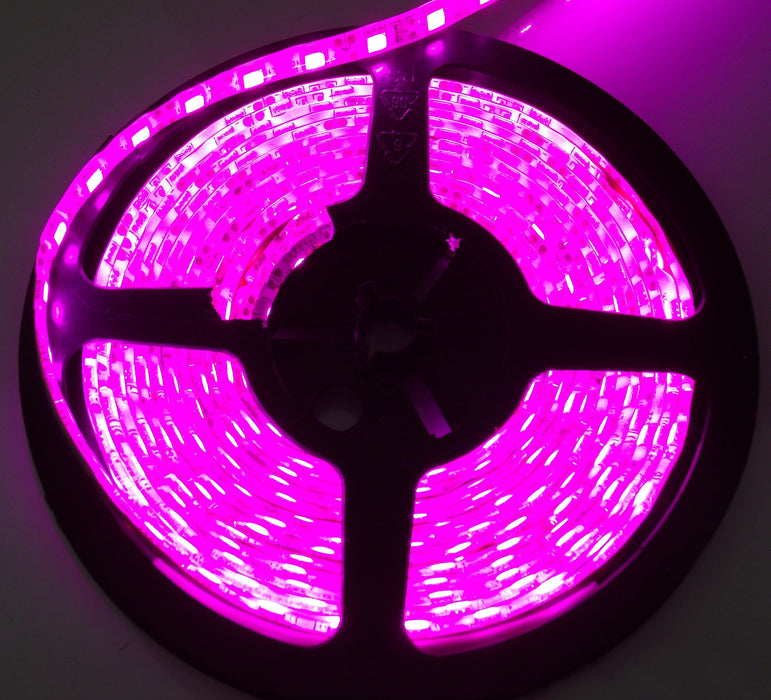 RaceSport - RS-5050-5MP - 16ft (5M) 5050 LED  Custom Tape Strip  IP67 (Purple) - Tape Strip Reel Custom Lighting System