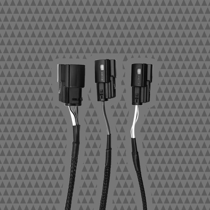 Cicada Audio - HDFRBoM-8 - H-D® 8-foot Bridged Output - Molex®