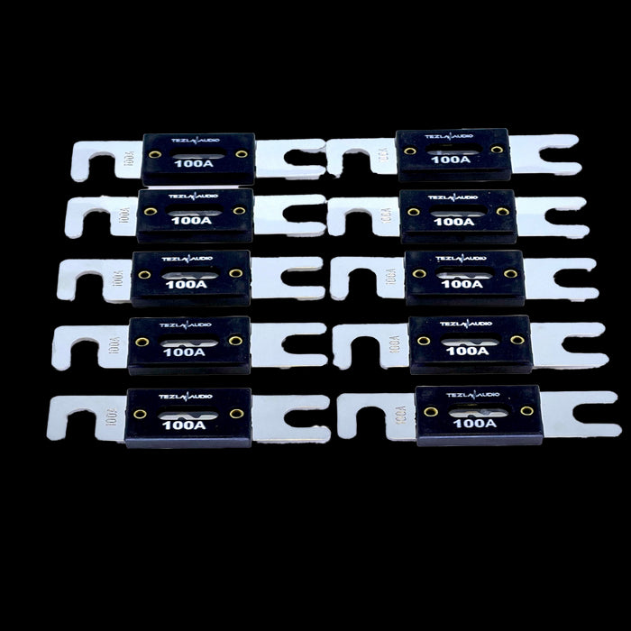 TEZLA 100 ANL FUSE BULK (sold in 10 lot)